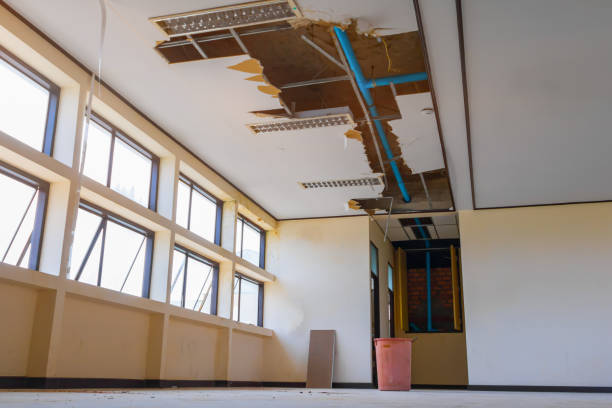 Best Commercial water damage restoration  in Madison, IN