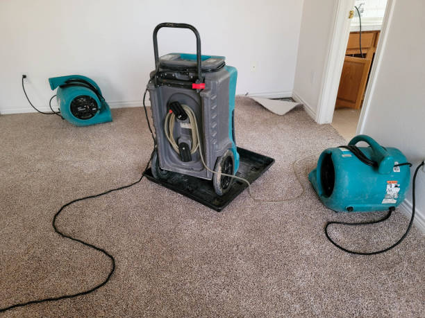 Reliable Madison, IN Water damage restoration Solutions