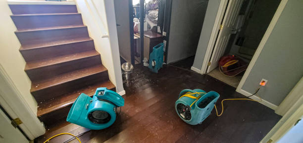 Best Sewage cleanup and water damage restoration  in Madison, IN