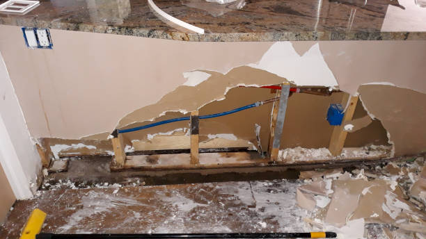 Best Professional water damage repair  in Madison, IN