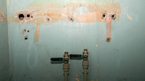 Best Water damage restoration near me  in Madison, IN
