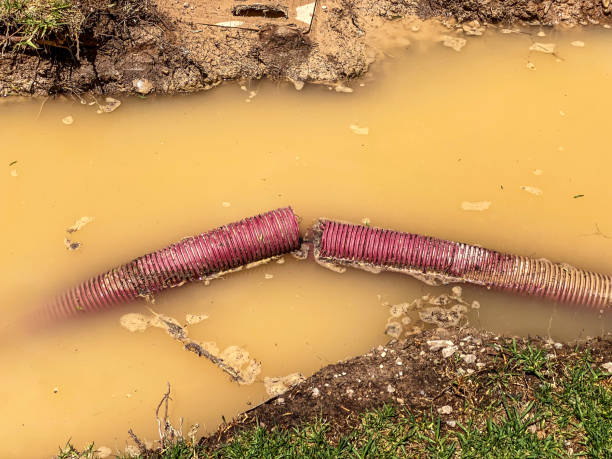 Best Water damage cleanup near me  in Madison, IN