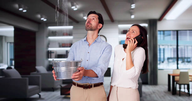 Best Water damage restoration services  in Madison, IN